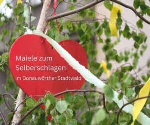 Maiele (Maibäumchen) zum Selberschlagen im Stadtwald