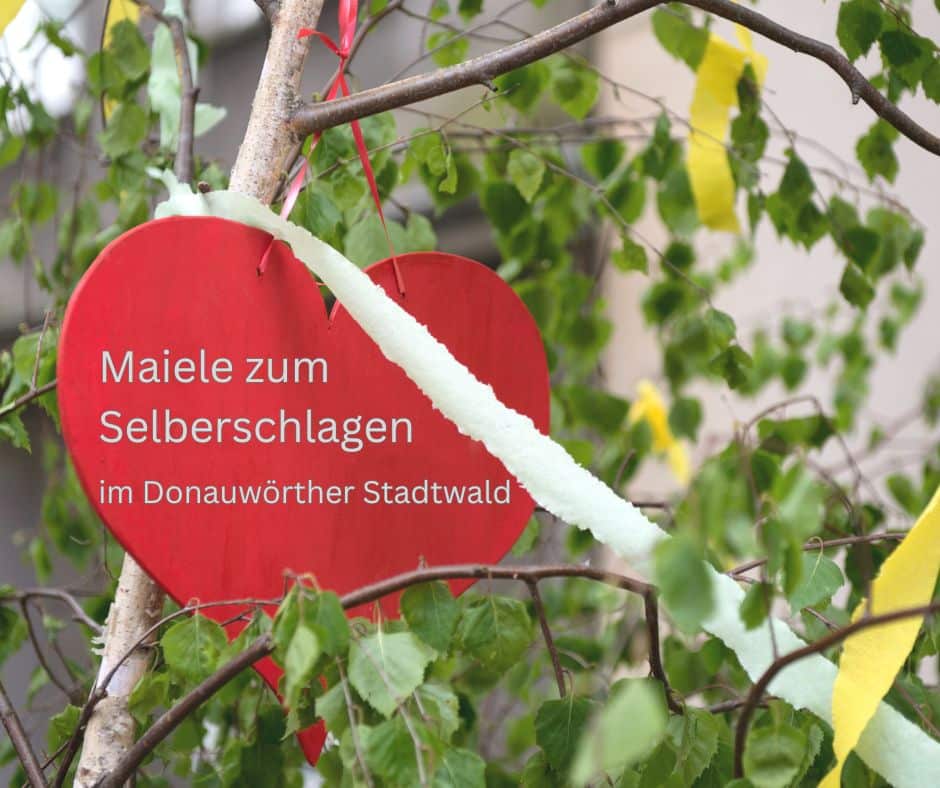 Maibaum mit Herz