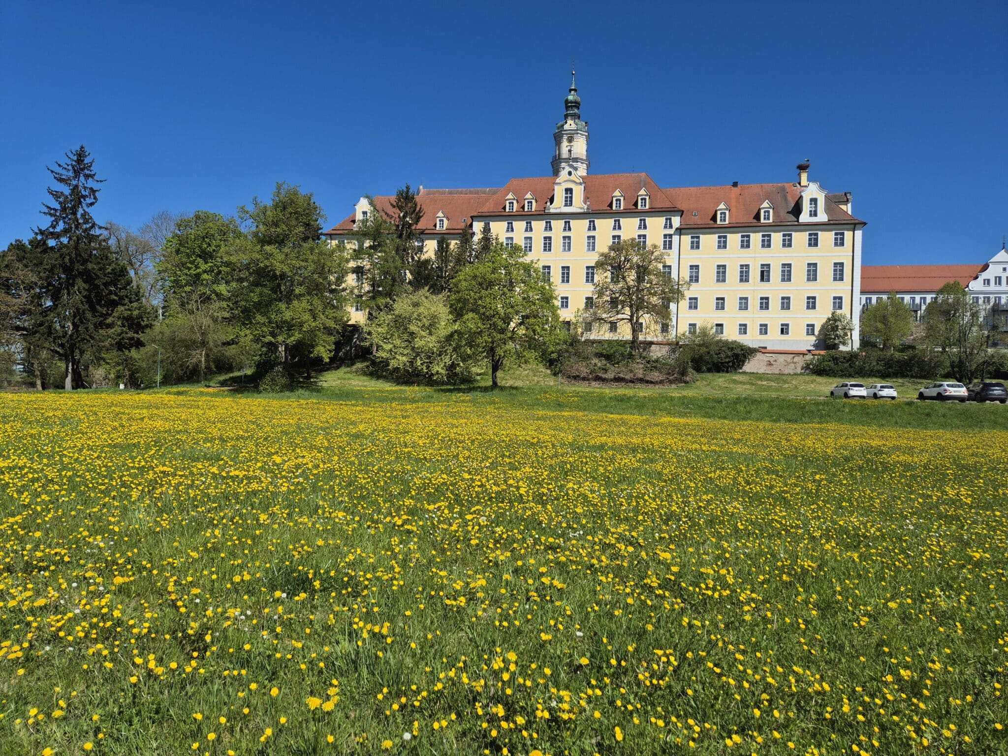 Welche Kinofilme sollen beim DONauwörth Open-Air gezeigt werden? Jetzt abstimmen!
