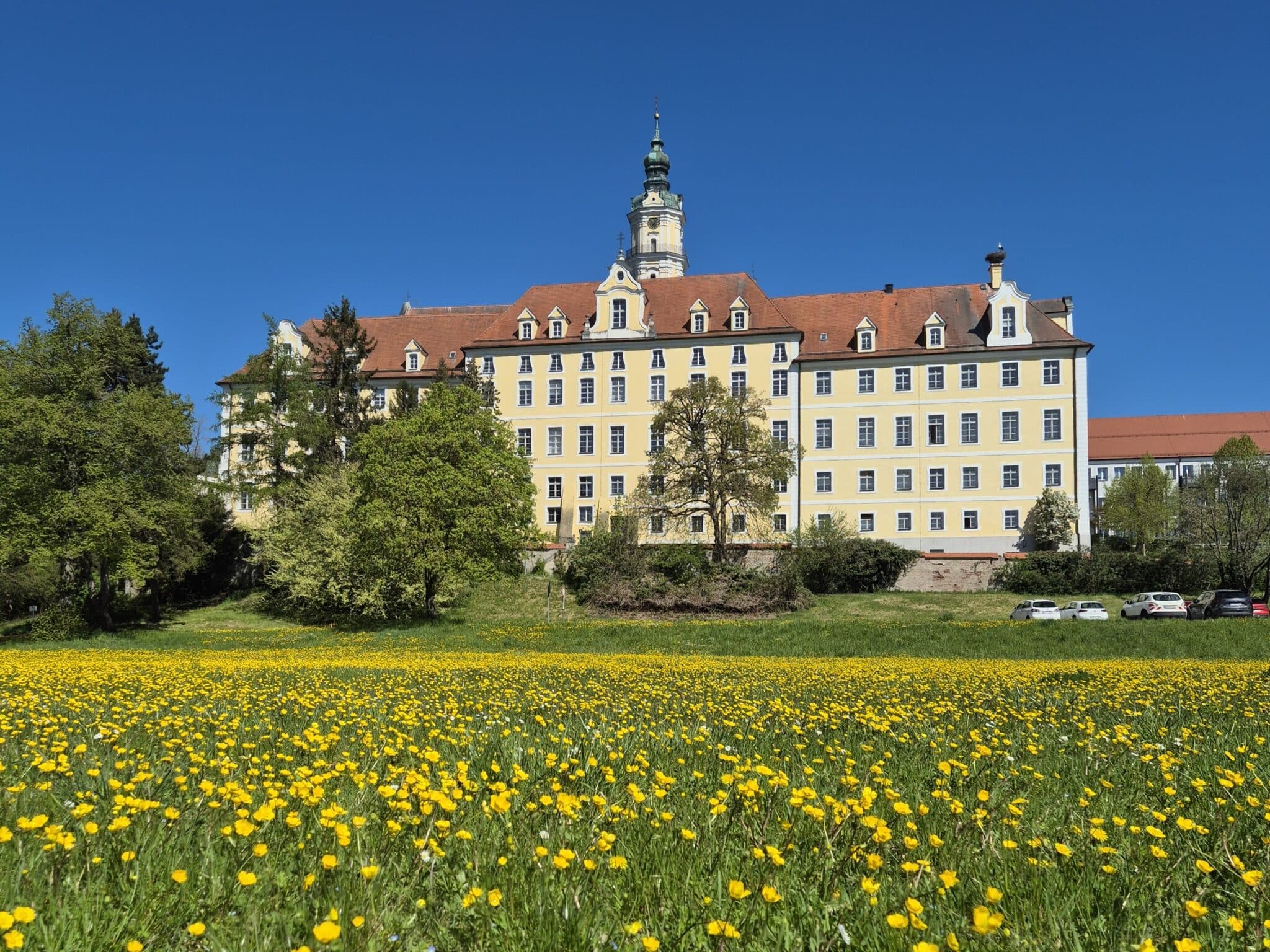 Open-Air-Kino im Heilig-Kreuz-Garten – das möchte Donauwörth sehen!