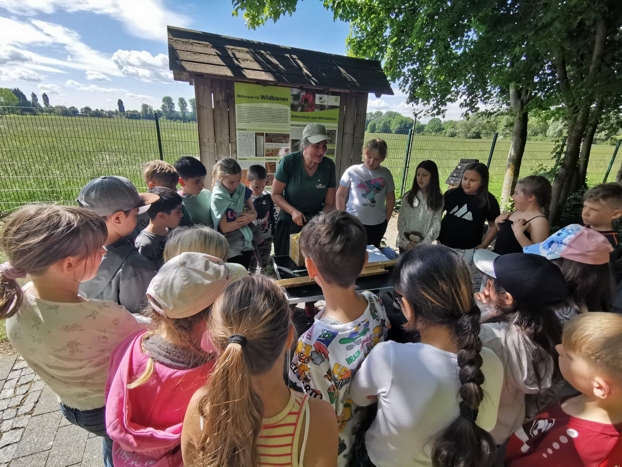 Der Wildbienen-Workshop der 3. Klassen