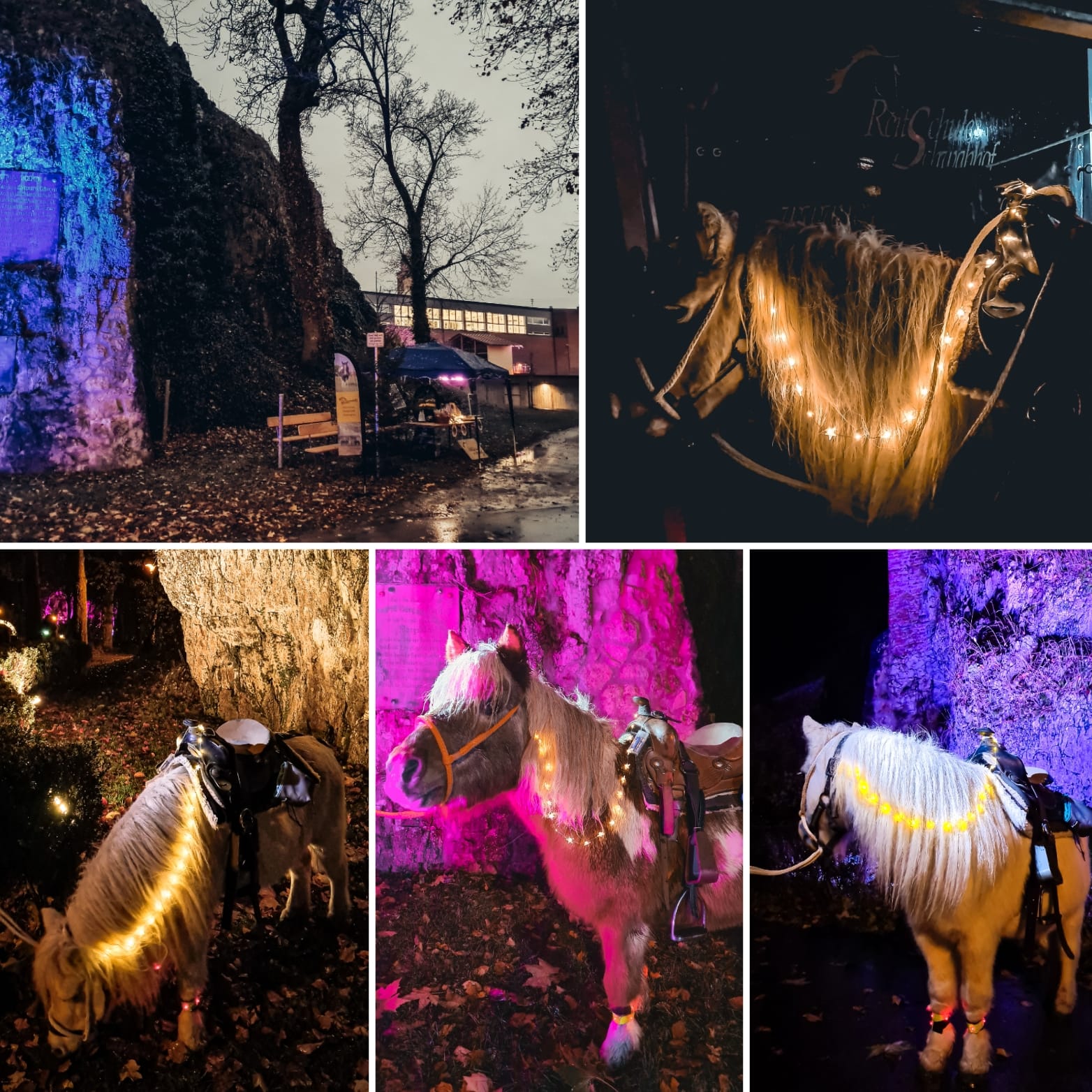 Ponyreiten