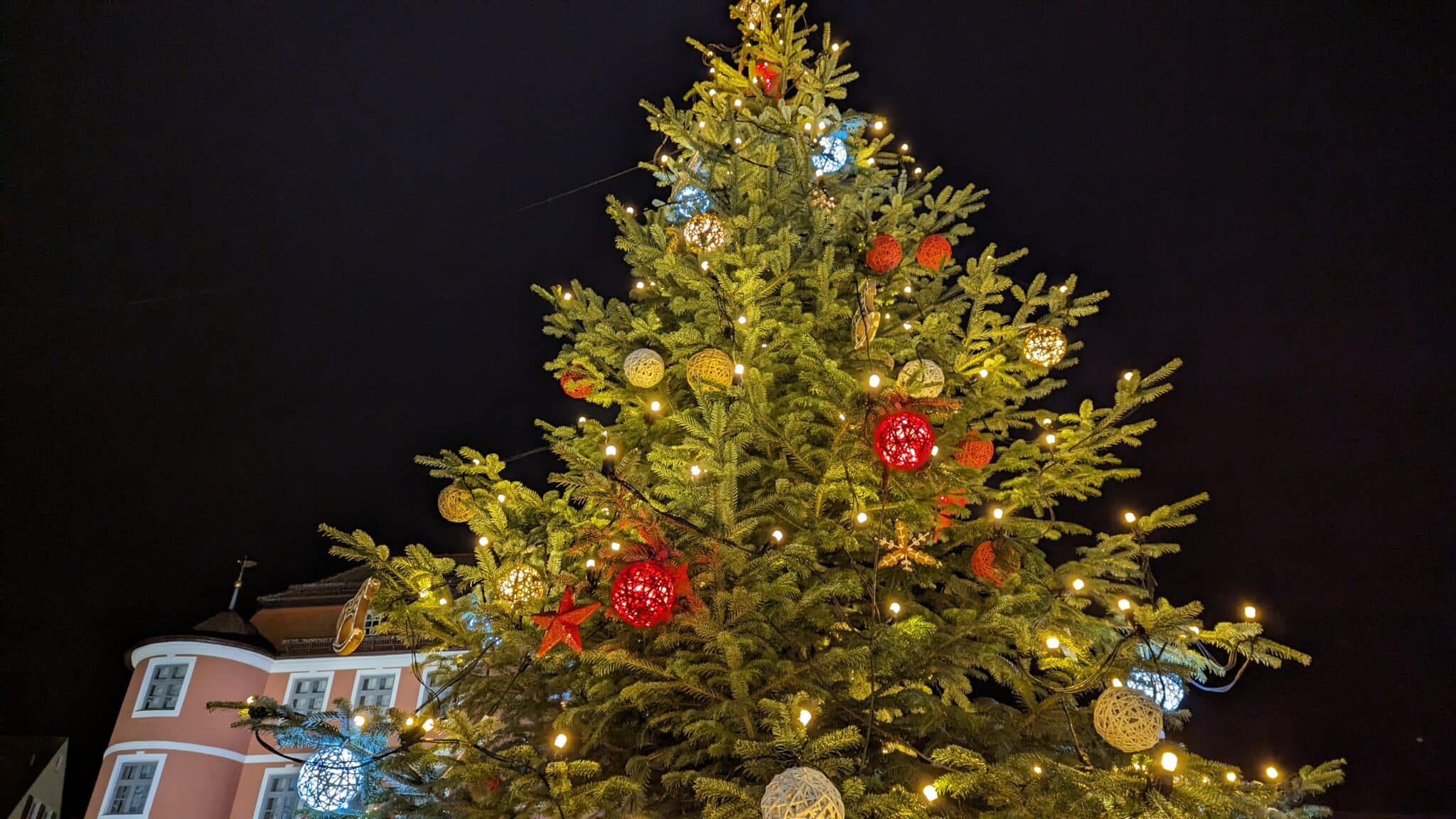 Christbäume gesucht: Stadt Donauwörth freut sich über Baumspenden 